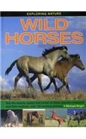 Exploring Nature: Wild Horses