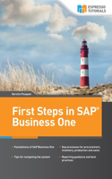 First Steps in SAP Business One