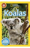 Koalas