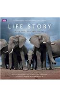 Life Story: Many Lives, One Epic Journey