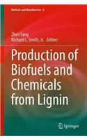 Production of Biofuels and Chemicals from Lignin