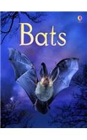 Bats