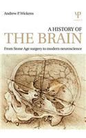 A History of the Brain