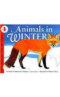 Animals in Winter