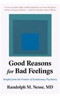 Good Reasons for Bad Feelings