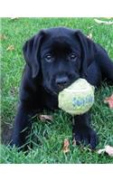 Black Labrador Puppy Notebook