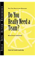 Do You Really Need a Team?