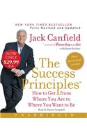 The Success Principles