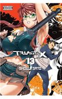 Triage X, Volume 13