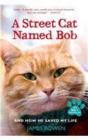 A Street Cat Named Bob and How He Saved My Life