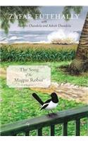 The Song of the Magpie Robin