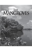 The Mangroves