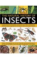 The Natural History of Insects