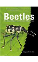 Beetles