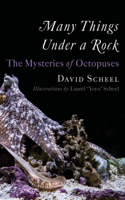 Many Things Under a Rock - The Mysteries of Octopuses