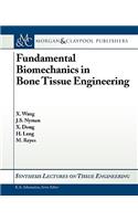 Fundamental Biomechanics in Bone Tissue Engineering