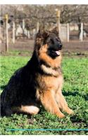 German Shepherd Dog Affirmations Workbook German Shepherd Dog Presents: Positive and Loving Affirmations Workbook. Includes: Mentoring Questions, Guidance, Supporting You.