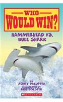 Hammerhead vs. Bull Shark