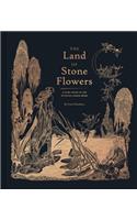 The Land of Stone Flowers