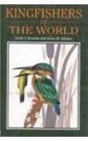 Kingfishers of the World