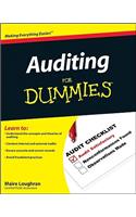 Auditing for Dummies