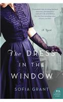 The Dress in the Window