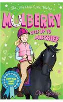 Meadow Vale Ponies: Mulberry Gets up to Mischief