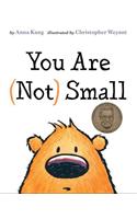 You Are (Not) Small