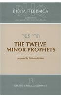 The Twelve Minor Prophets