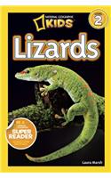 Lizards