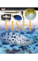 DK Eyewitness Books: Fish