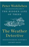 The Weather Detective