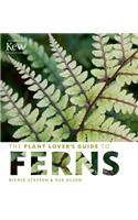 The Plant Lover's Guide to Ferns