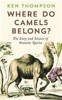 Where Do Camels Belong?