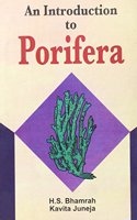 An Introduction to Porifera