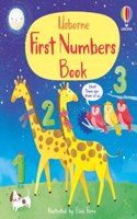 First Numbers Book (First Concepts)