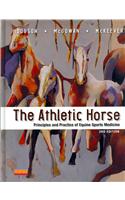 The Athletic Horse