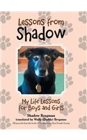 Lessons from Shadow