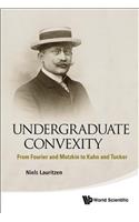 Undergraduate Convexity: From Fourier and Motzkin to Kuhn and Tucker