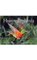 Hummingbirds