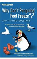 Why Don't Penguins' Feet Freeze?