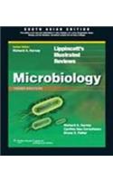 Lippincott's Illustrated Reviews Microbiology, 3/e (With Point Access Codes)