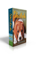 The Shiloh Collection