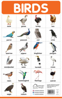 Birds - My First Early Learning Wall Posters: For Preschool, Kindergarten, Nursery And Homeschooling (19 Inches X 29 Inches)