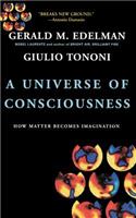 A Universe of Consciousness