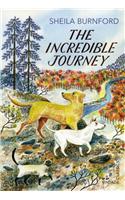 Incredible Journey