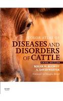 Color Atlas of Diseases and Disorders of Cattle