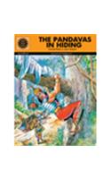 The pandavas in hiding