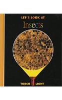 Let's Look at Insects