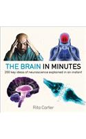 The Brain in Minutes